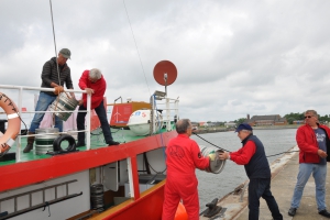 Feuerschiff BORKUMRIFF